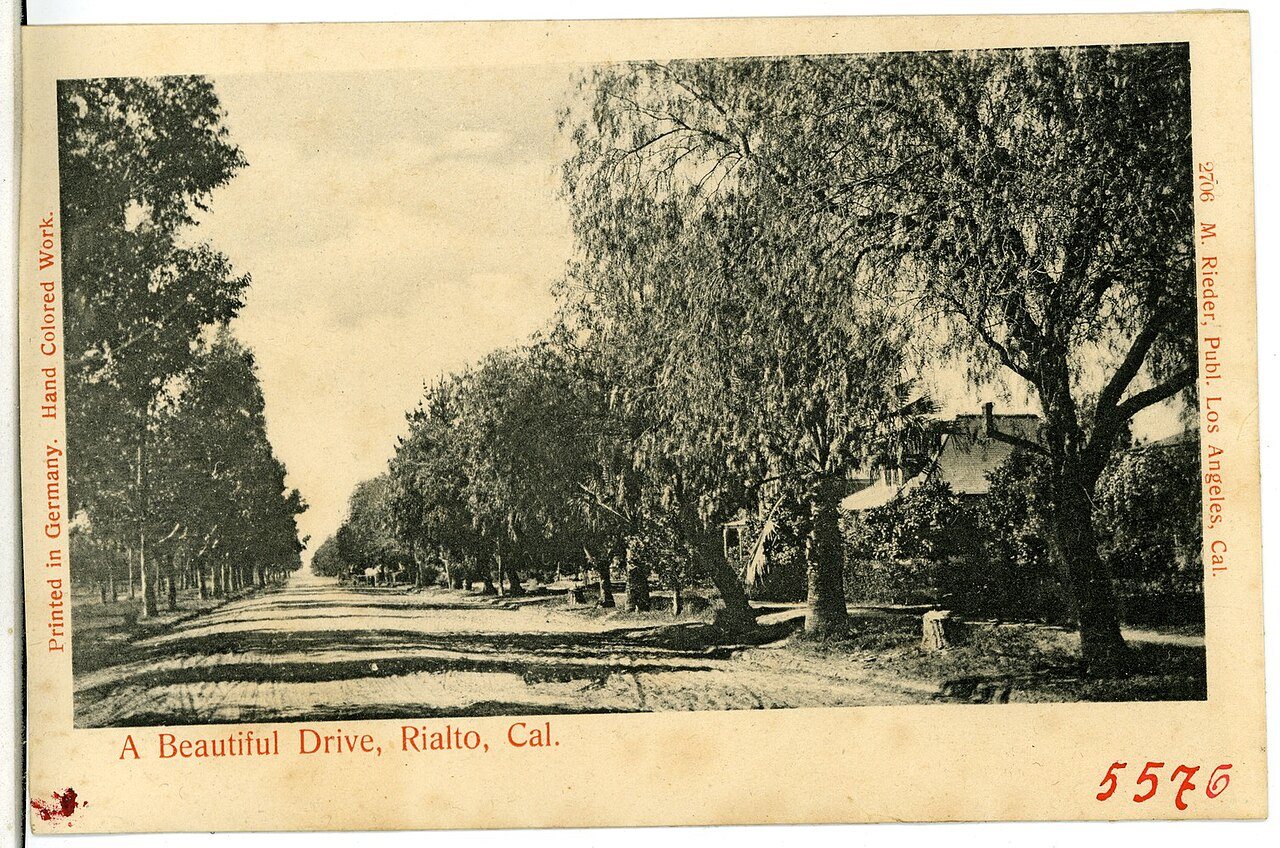 05576-Rialto-1904-A Beautiful Drive, Rialto, California-Brück & Sohn Kunstverlag