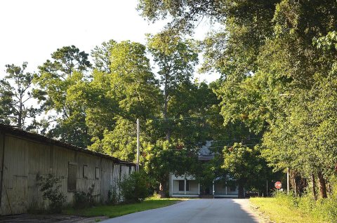 Ehrhardt, SC