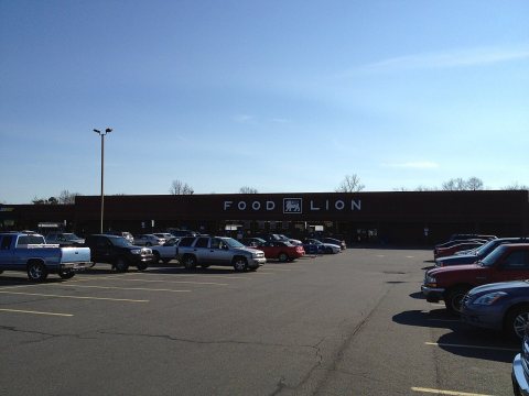 Food Lion
