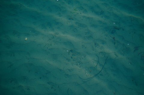 Clean ocean at Keller's Cove in Malibu, Los Angeles