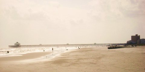 Folly
