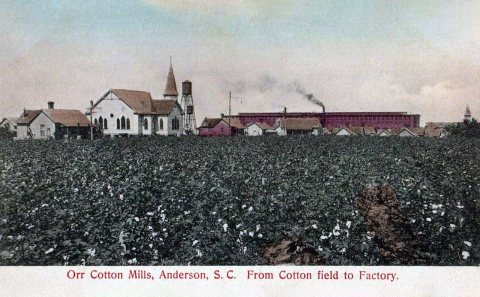 Anderson - Orr Cotton Mills