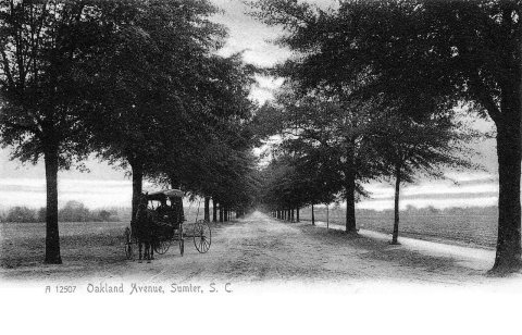 Sumter - Oakland Avenue (1905)