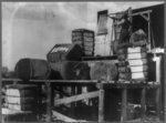 Weighing cotton bales