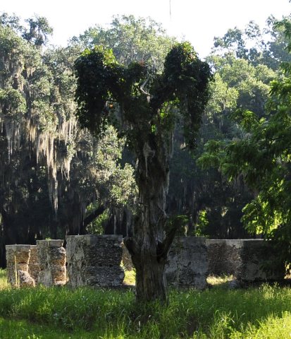 White Hall Plantation Ruins