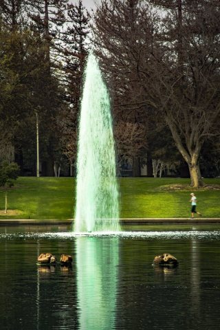 Fountain and the running man