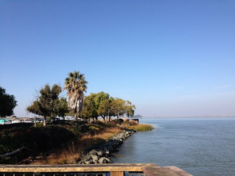 Pittsburg, CA, USA - panoramio (10)