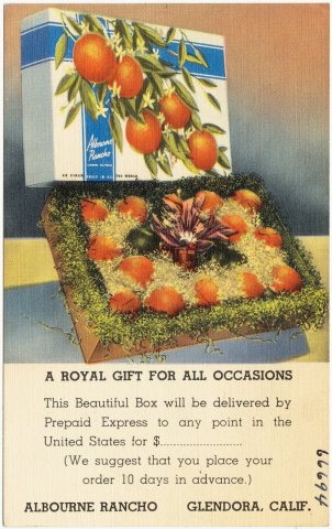 A royal gift for all occasions, Albourne Rancho, Glendora, Calif (66694)