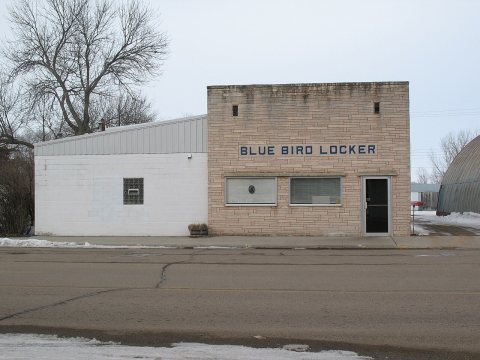 Delmont Blue Bird Locker