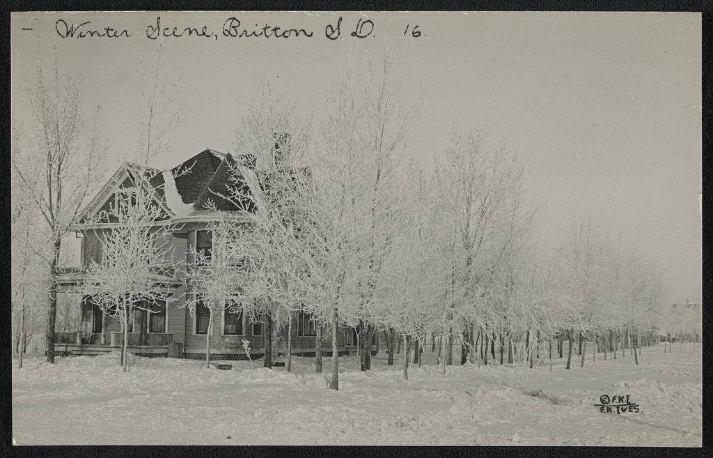 Winter scene