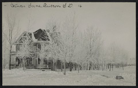 Winter scene