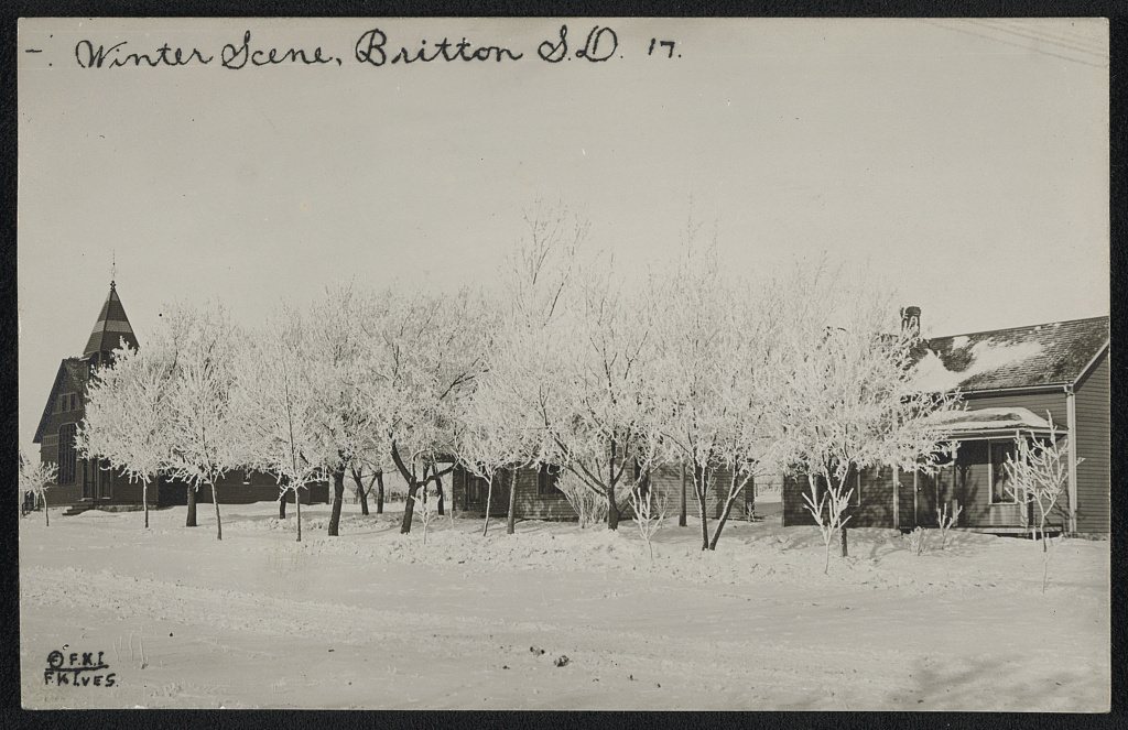 Winter scene