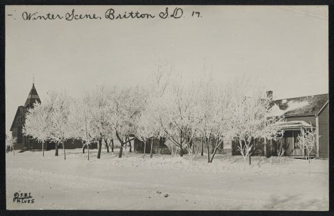 Winter scene