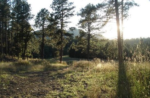 Sundown near the Black Hills ghost town of Spokane, Looking W-SW, Custer Co., South Dakota