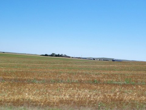 East Custer, SD, USA - panoramio (19)