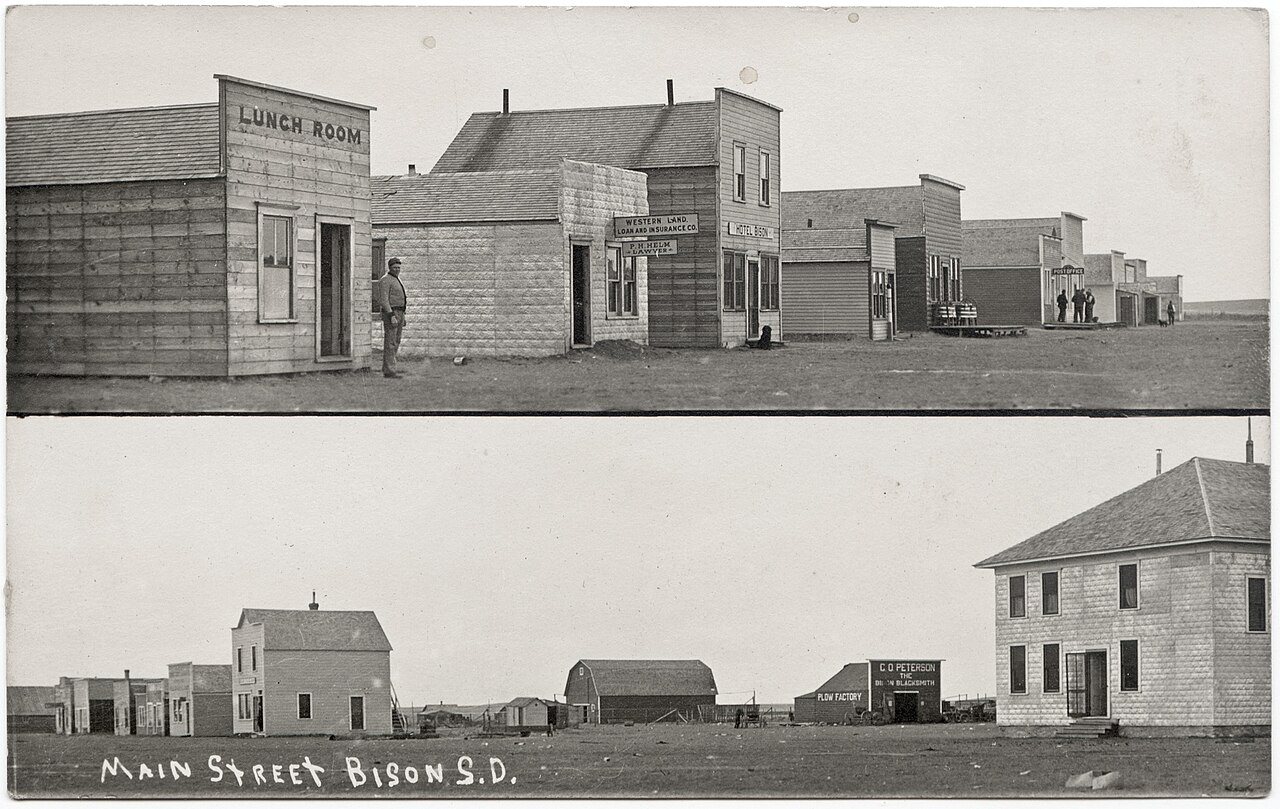 Main Street Bison South Dakota Postcard