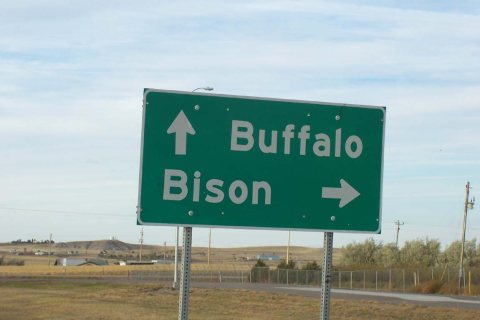 Buffalo Bison sign near Buffalo SD