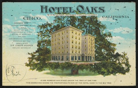 Hotel Oaks, W.D. Walker, Proprietor Manager. Chico, California