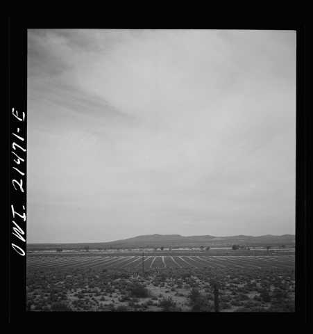 Barstow (vicinity), California. Cultivated fields along the Atchison, Topeka and Santa Fe Railroad between Barstow and …