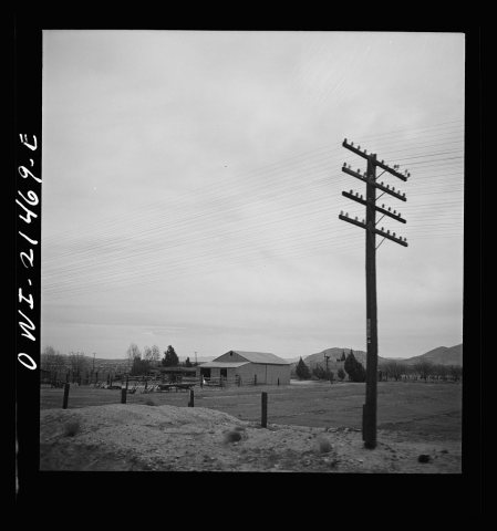Barstow, (vicinity), California. Passing a farm along the Atchison, Topeka and Santa Fe Railroad between Barstow and Sa…