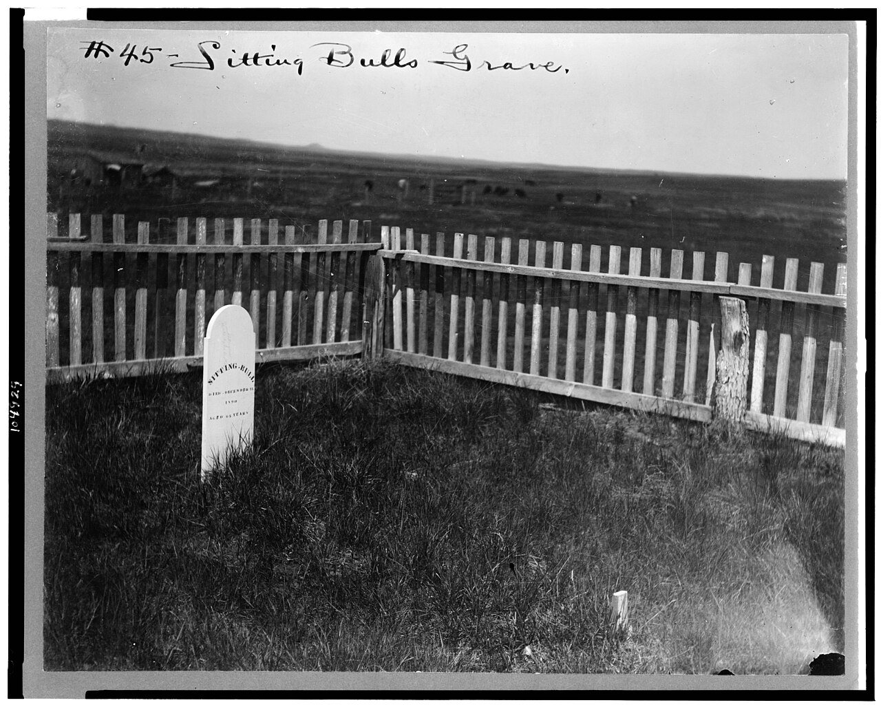 Sitting Bull's grave) - F.B. Fiske