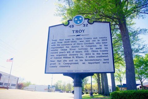 Troy-THC-marker-tn