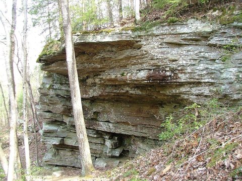 Piney River Gorge