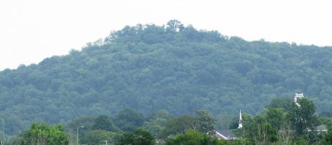 Battery-knob-carthage-tn1