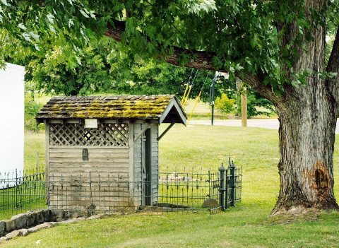 Mosheim-Blue-Spring-tn1