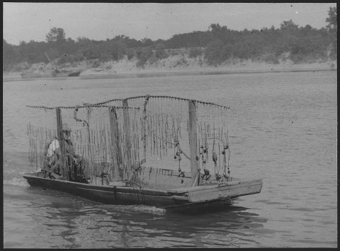 Shell Boat