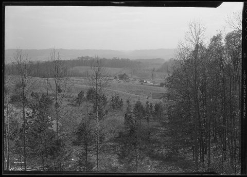 "View from the north of the poultry and gardening center of the TVA at Norris."