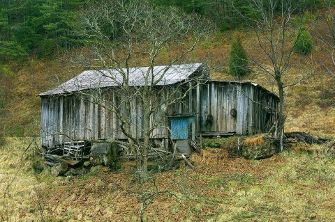 Shack in Pigeon Forge, TN by Zachary Davies