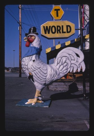 Rooster statue at Shirt World, Route 441