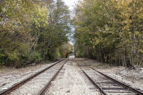 Double railroad tracks head into a thicket near Mount Pleasant in Maury County, Tennessee