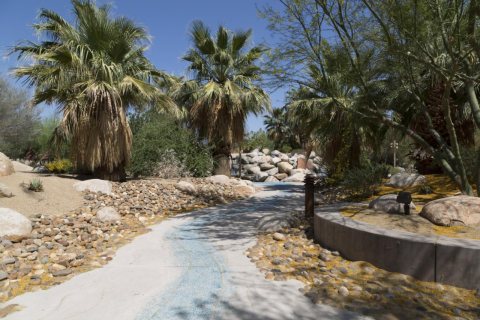 Palm trees in the Southern California desert [Faye Sarkowsky Sculpture Garden]