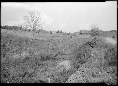 "Farm land on main highway near Sevierville, Tennessee. The pasture in the foreground has apparently been overgrazed."