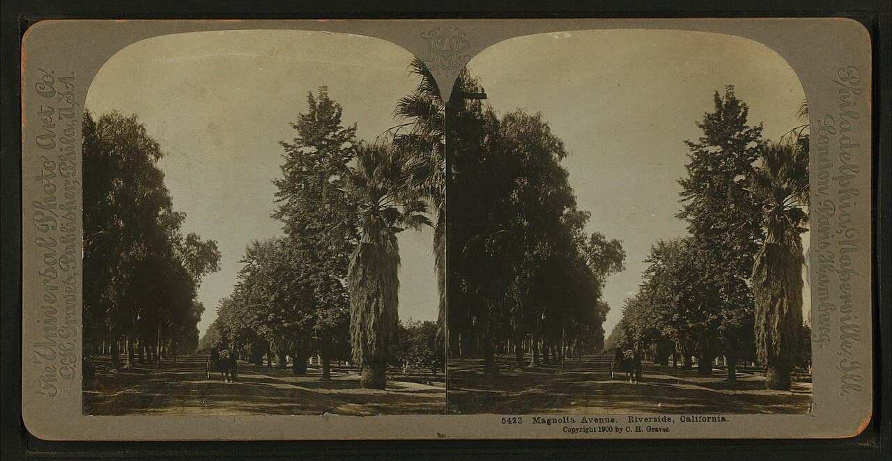 Magnolia Avenue, Riverside, California