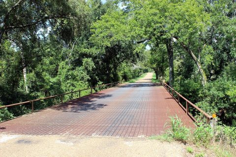 Bridge
