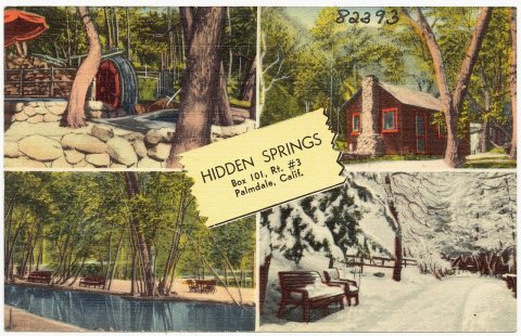 Hidden Springs, Box 101, Rt. 3, Palmdale, Calif (82393)