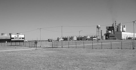 Earth Texas Plant X 2008