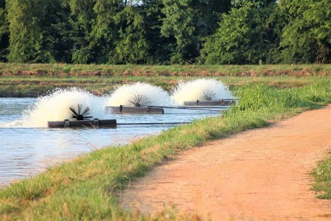 Paddlewheel Aerator at a Catfish Farm- Boligee, AL (Greene County)