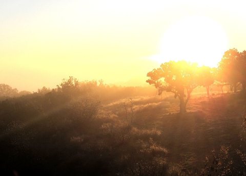 Hill Country Sunrise