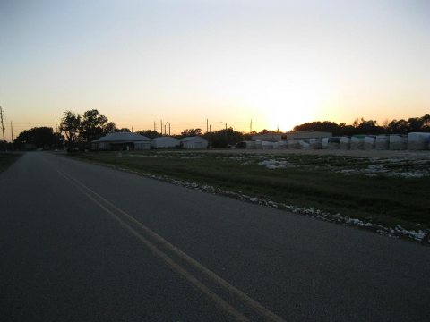 Fairchilds TX Cotton Harvest