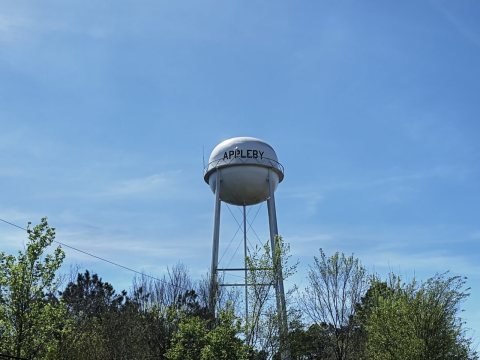 ApplebyTX-watertower