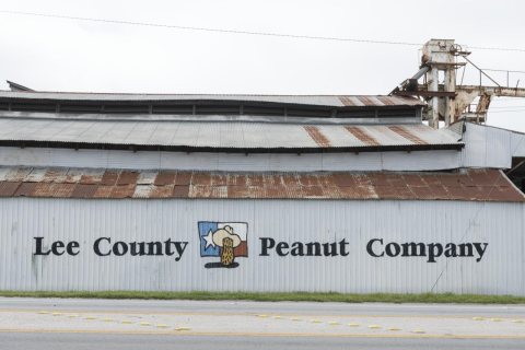 Peanut processing factory