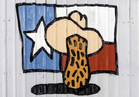 Peanut and Texas flag art on a peanut factory