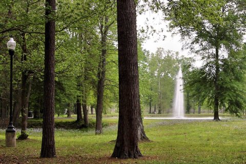 Woods park newton tx 2015