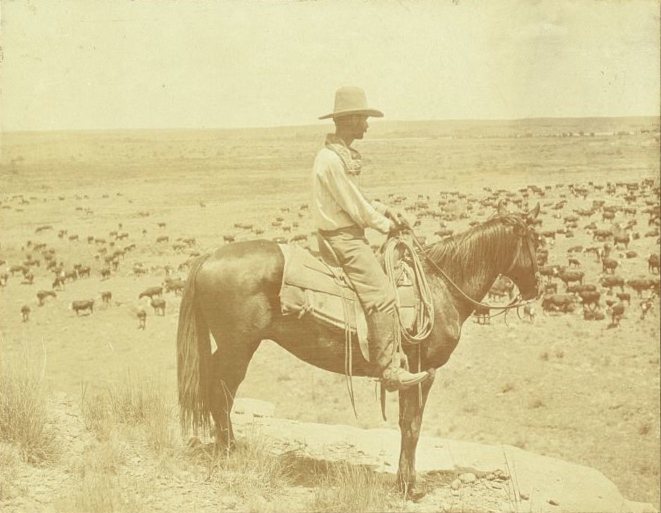 A Texas cowboy - photo by Erwin E. Smith, Bonham, Texas