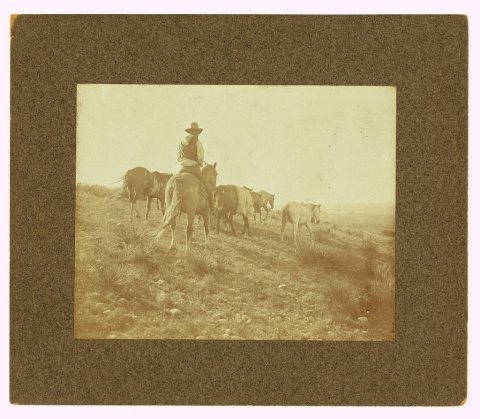 The stray man - photo by Erwin E. Smith, Bonham, Texas