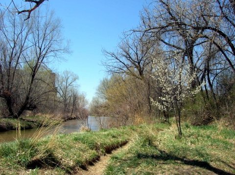 Looking west from inside Cherry Creek